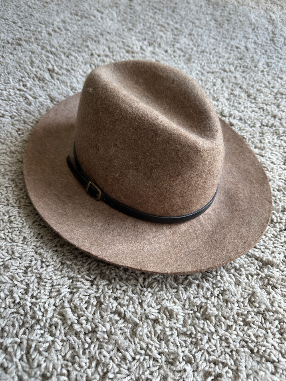 Classic Brown Wool Felt Hat with Leather Band